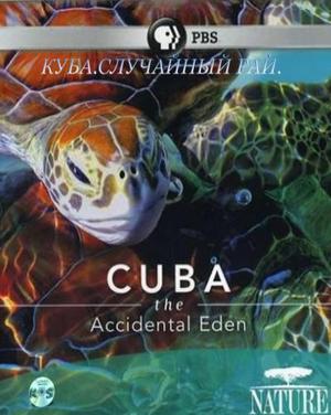 Куба. Случайный рай / Cuba. The Accidental Eden () смотреть онлайн бесплатно в отличном качестве
