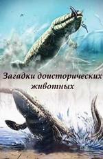 Загадки доисторических животных / Mysteries of prehistoric animals () смотреть онлайн бесплатно в отличном качестве