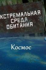 Экстремальная среда обитания. Космос /  (2011) смотреть онлайн бесплатно в отличном качестве