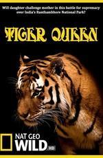National Geographic : Королева тигров / Tiger Queen () смотреть онлайн бесплатно в отличном качестве