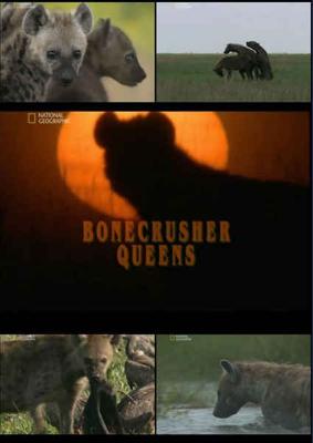 National Geographic: Гиена - царица хищников / Bonecrusher Queens () смотреть онлайн бесплатно в отличном качестве
