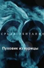 Среда обитания.Пуховик из курицы /  () смотреть онлайн бесплатно в отличном качестве