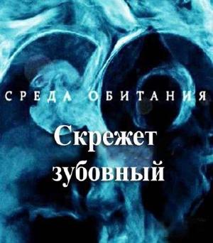 Среда обитания. Скрежет зубовный /  () смотреть онлайн бесплатно в отличном качестве