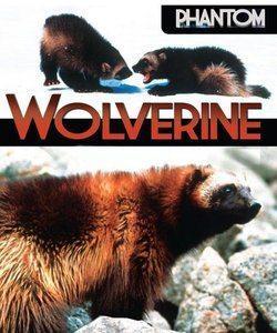 National Geographic: Неуловимая росомаха / Phantom wolverine () смотреть онлайн бесплатно в отличном качестве