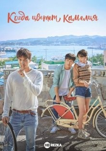 Когда цветет камелия / Dongbaekkkot pil muryeop (2019) смотреть онлайн бесплатно в отличном качестве