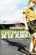 Клянусь, это не я! / C'est pas moi, je le jure! (2008) смотреть онлайн бесплатно в отличном качестве