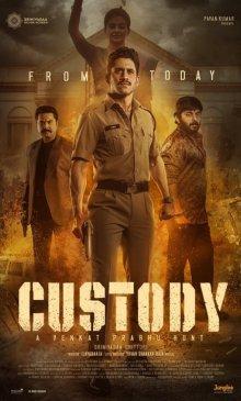 Под стражей / Custody () смотреть онлайн бесплатно в отличном качестве