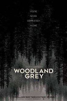 Серый лес / Woodland Grey (2021) смотреть онлайн бесплатно в отличном качестве