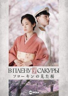 В плену у сакуры / Sorokin no Mita Sakura (2019) смотреть онлайн бесплатно в отличном качестве