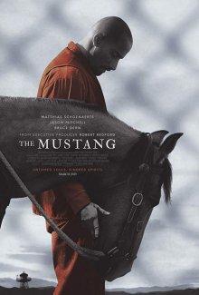 Мустанг / The Mustang (2019) смотреть онлайн бесплатно в отличном качестве