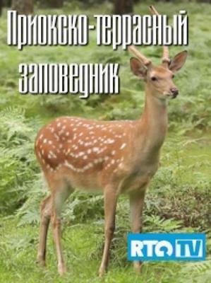 Король польки