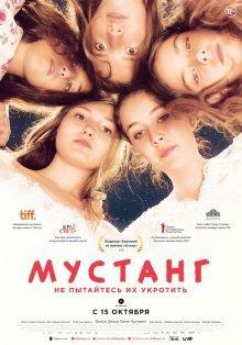 Мустанг / Mustang () смотреть онлайн бесплатно в отличном качестве