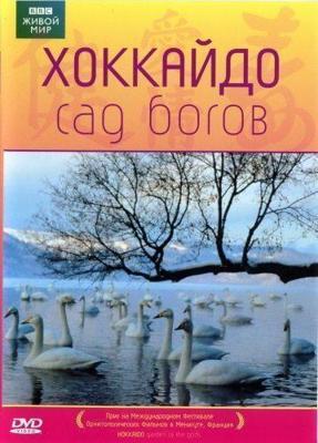 Помпеи / Pompeii () смотреть онлайн бесплатно в отличном качестве