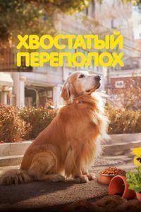 Хвостатый переполох / Dogeu deijeu (2024) смотреть онлайн бесплатно в отличном качестве