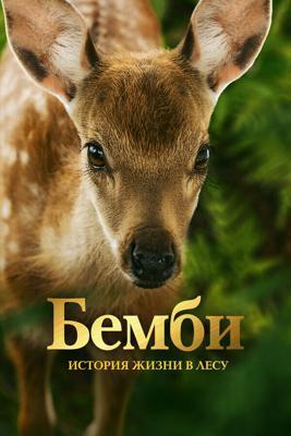 Бемби. История жизни в лесу / Bambi, l'histoire d'une vie dans les bois (2024) смотреть онлайн бесплатно в отличном качестве