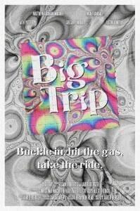 Большой трип / Big Trip (2024) смотреть онлайн бесплатно в отличном качестве