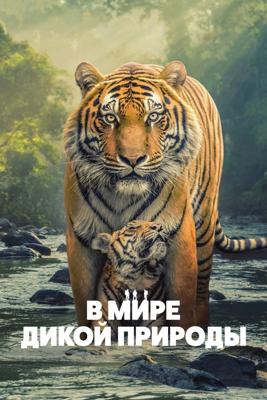 В мире дикой природы / The Wild Ones (2025) смотреть онлайн бесплатно в отличном качестве