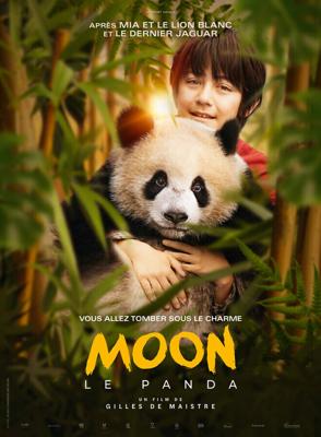 Моя панда / Moon le panda (2025) смотреть онлайн бесплатно в отличном качестве