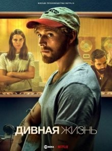 Дивная жизнь / A Beautiful Life () смотреть онлайн бесплатно в отличном качестве