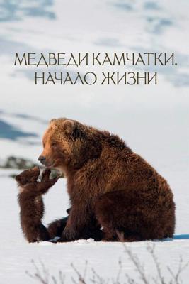 Медведи Камчатки. Начало жизни /  (2018) смотреть онлайн бесплатно в отличном качестве