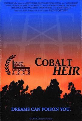 Наследник кобальта / Cobalt Heir (2020) смотреть онлайн бесплатно в отличном качестве