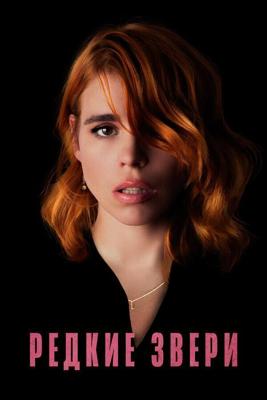 Редкие звери / Rare Beasts (2019) смотреть онлайн бесплатно в отличном качестве
