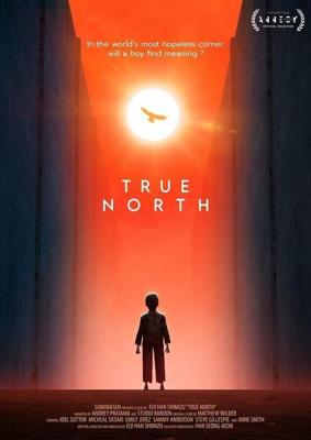 Настоящая Северная Корея / True North (2020) смотреть онлайн бесплатно в отличном качестве