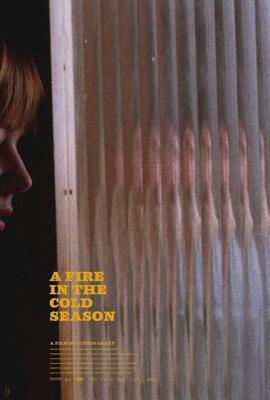 Пожар в холодное время года / A Fire In The Cold Season (2020) смотреть онлайн бесплатно в отличном качестве