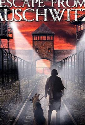 Побег из Освенцима / The Escape from Auschwitz (2020) смотреть онлайн бесплатно в отличном качестве