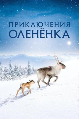 Приключения оленёнка / Aïlo: Une odyssée en Laponie (2018) смотреть онлайн бесплатно в отличном качестве