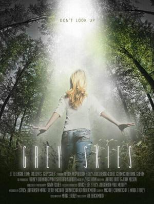 Серые небеса / Grey Skies (2010) смотреть онлайн бесплатно в отличном качестве