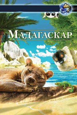 Мадагаскар 3D / Madagascar 3D (2013) смотреть онлайн бесплатно в отличном качестве