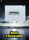 Арктика. Жизнь в лютый мороз /  (2012) смотреть онлайн бесплатно в отличном качестве