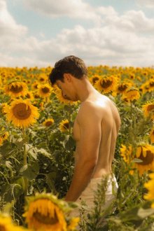 Подсолнух / Sunflower () смотреть онлайн бесплатно в отличном качестве