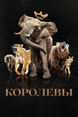 Королевы  / Queens () смотреть онлайн бесплатно в отличном качестве